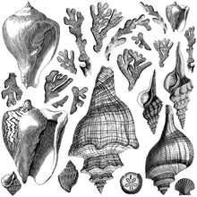 Load image into Gallery viewer, Seashore IOD Decor Stamp *Retiring*