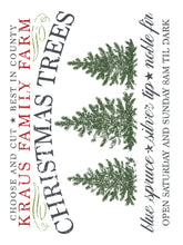 Load image into Gallery viewer, Noel IOD Paint Inlay *Limited Release*