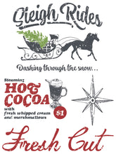 Load image into Gallery viewer, Noel IOD Paint Inlay *Limited Release*