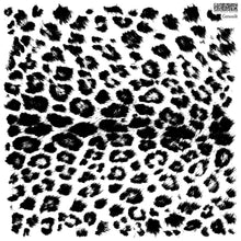 Load image into Gallery viewer, Catwalk IOD Decor Stamp *Retired*