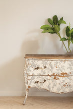 Load image into Gallery viewer, Grisaille Toile IOD Paint Inlay