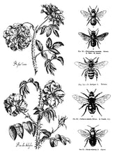 Load image into Gallery viewer, Melange IOD Paint Inlay