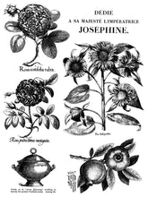 Load image into Gallery viewer, Melange IOD Paint Inlay