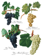 Load image into Gallery viewer, Cheers IOD Decor Transfer *RETIRED*