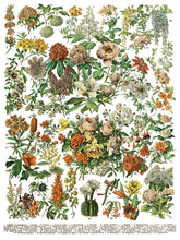 Load image into Gallery viewer, Millot's Pages IOD Decor Transfer