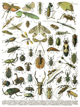 Load image into Gallery viewer, Millot's Pages IOD Decor Transfer