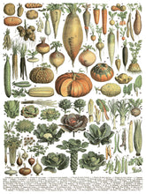 Load image into Gallery viewer, Millot's Pages IOD Decor Transfer