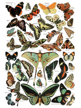 Load image into Gallery viewer, Millot's Pages IOD Decor Transfer