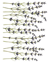 Load image into Gallery viewer, Painterly Florals IOD Decor Transfer