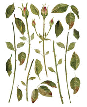 Load image into Gallery viewer, Painterly Florals IOD Decor Transfer