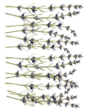 Load image into Gallery viewer, Painterly Florals IOD Decor Transfer