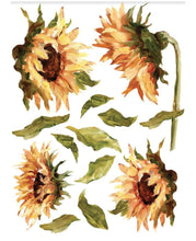 Load image into Gallery viewer, Painterly Florals IOD Decor Transfer