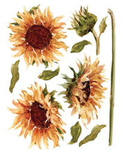Load image into Gallery viewer, Painterly Florals IOD Decor Transfer