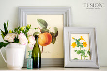 Load image into Gallery viewer, Pebble - Pint (16.9 oz)