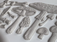 Load image into Gallery viewer, Toadstool IOD Decor Mould