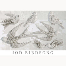 Load image into Gallery viewer, Birdsong IOD Decor Mould