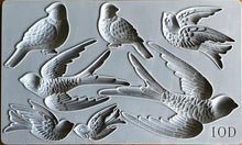Load image into Gallery viewer, Birdsong IOD Decor Mould