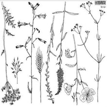 Load image into Gallery viewer, Sprigs IOD Decor Stamp