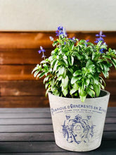 Load image into Gallery viewer, Traditional Pots IOD Decor Transfer