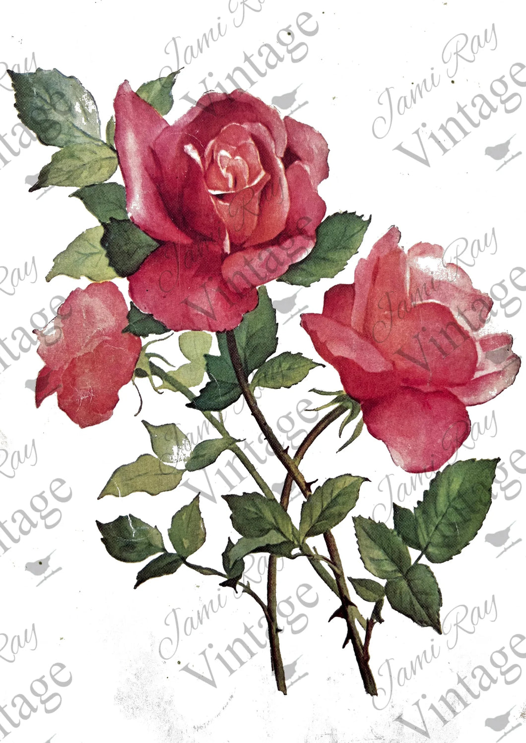 Roses - JRV Rice Paper (8.25