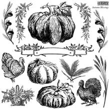 Load image into Gallery viewer, Autumn Blessings IOD Decor Stamp *New Release*
