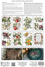 Load image into Gallery viewer, Clementine IOD Decor Transfer *New Release*
