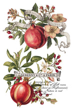 Load image into Gallery viewer, Clementine IOD Decor Transfer *New Release*

