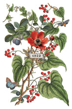 Load image into Gallery viewer, Clementine IOD Decor Transfer *New Release*
