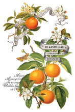 Load image into Gallery viewer, Clementine IOD Decor Transfer *New Release*
