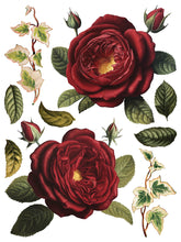 Load image into Gallery viewer, Collage de Fleurs IOD Decor Transfer *New Release*
