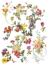 Load image into Gallery viewer, Saint Germain IOD Decor Transfer
