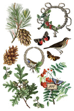 Load image into Gallery viewer, Winter Botanist IOD Decor Transfer *New Release*
