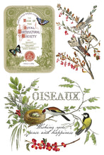 Load image into Gallery viewer, Winter Botanist IOD Decor Transfer *New Release*
