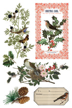 Load image into Gallery viewer, Winter Botanist IOD Decor Transfer *New Release*
