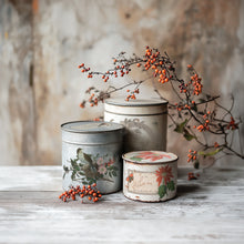 Load image into Gallery viewer, Winter Botanist IOD Decor Transfer *New Release*
