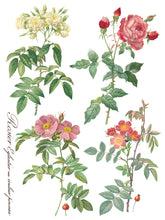 Load image into Gallery viewer, Rose Botanical IOD Decor Transfer
