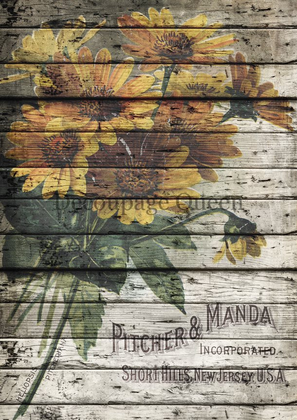 Pitcher and Manda - Decoupage Queen