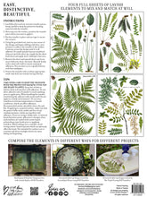 Load image into Gallery viewer, Fronds Botanical IOD Decor Transfer
