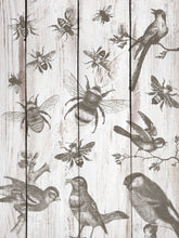Load image into Gallery viewer, Birds &amp; Bees IOD Decor Stamp
