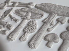 Load image into Gallery viewer, Toadstool IOD Decor Mould
