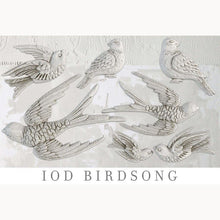 Load image into Gallery viewer, Birdsong IOD Decor Mould
